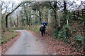 Llwybr yn gadael yr heol / Path exiting the road