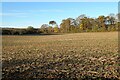 SU6056 : Farmland, Monk Sherborne by Andrew Smith