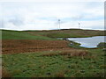 Rough grazing towards White Loch