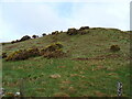 Hillside grazing and whins