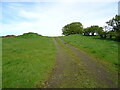 Farm track, Caldcoats 