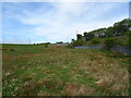 Grassland between Balgray Reservoir and Glasgow to Neilston Railway