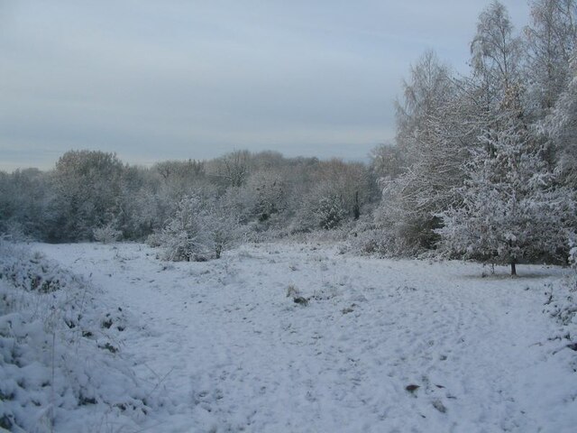 Brook meadow, Canley Ford