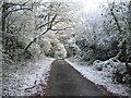 The lane from Canley Ford