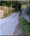 Narrow road ascending from Mounton towards Chepstow