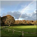 Rainbow over Henfield cricket field