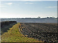 Ploughed field south of Towcester Road