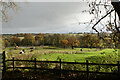 Grazing land by Brookhill Hall Farm