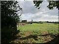 Grass field and Griffiths Farm, Tibberton