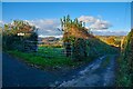 Bovey Tracey : Country Lane