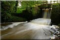 Sluice gates for mill pond