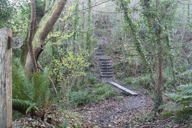 Steps on Pembrokeshire Coast Path