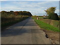 Sand Lane near Avenue Farm