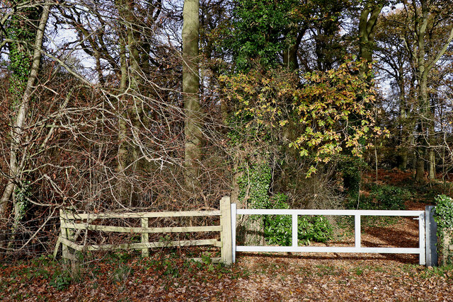 Himley Plantation access point, Staffordshire