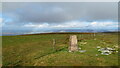 NT1731 : Trig Point on Pykestone Hill by Colin Park