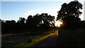 Morning sunlight on John Muir Way, Callendar Park, Falkirk