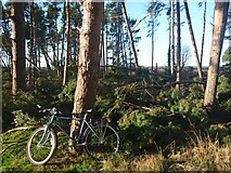 NT6378 : East Lothian Landscape : You're Gonna Need A Bigger Bike by Richard West