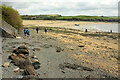 Beach, Porthilly Cove