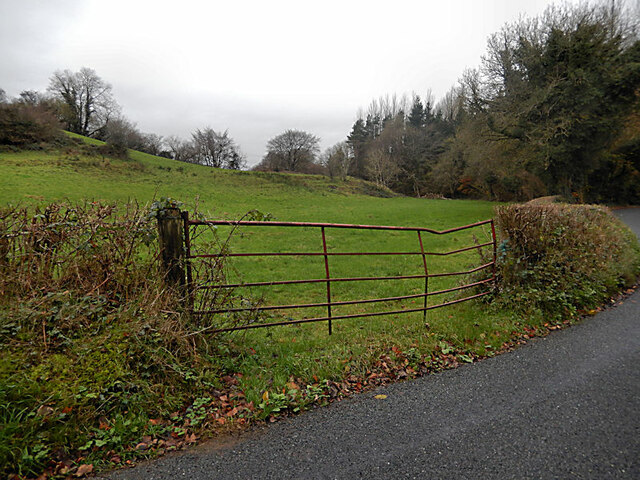 Gated Field