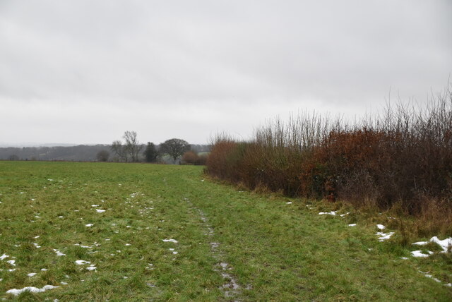 Footpath along hedge © N Chadwick :: Geograph Britain and Ireland