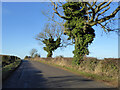 Road towards Litchborough