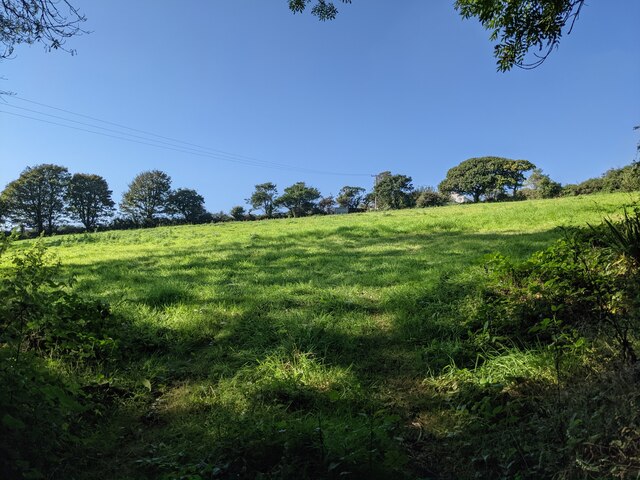 A field near Townshend