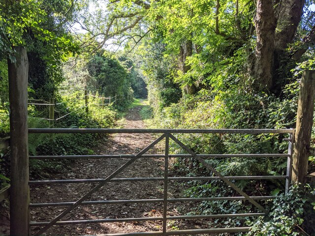 A bridleway near Townshend