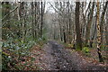 Muddy bridleway, Oldbury Hill