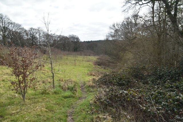 Five Acre Wood, Rother (TN19 7LA) - area information, map, walks and more