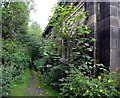 The side of the derelict Thornton Pressure Filters building, Close Head Lane, Thornton