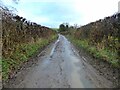 A very muddy Croeswylan Lane