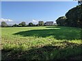 Fields near Townshend