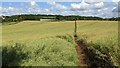 Path by the Chantry School (Martley)