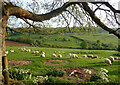 SP0628 : Farmland, Farmcote (1) by Stephen Richards