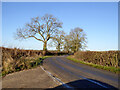 Road towards Stratton Audley, 2016