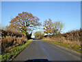 Road towards Stratton Audley