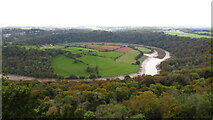 ST5296 : The River Wye & Lancaut from Eagles Nest Viewpoint by Colin Park