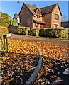 Fallen leaves on a Llangybi corner