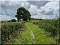 Second Lane - South Anston