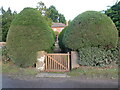 Path at Ebury Cottage