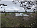 Groundworks at a lake at a caravan park near Hadnall