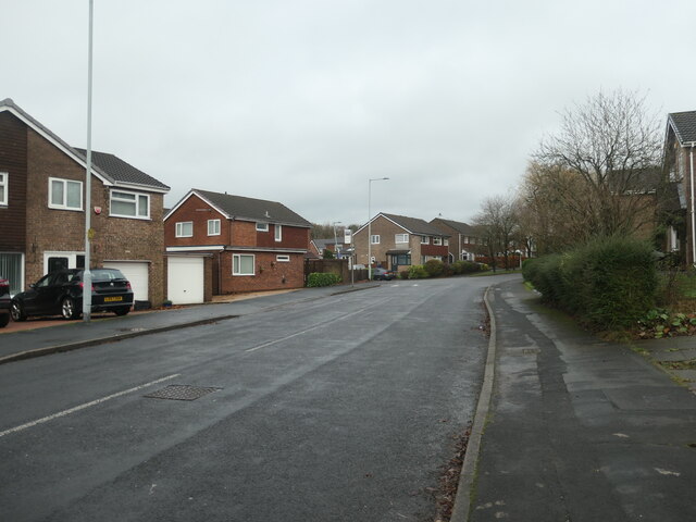 Sanderling Road, Offerton © Christine Johnstone cc-by-sa/2.0 ...