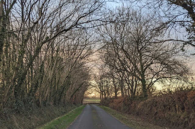 Lane near Riggles Cross, heading west