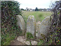 Twin Stone Stile, Whiteshill