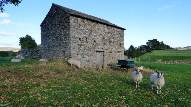 Field barn and sheep near Aysgarth