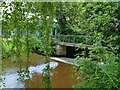 Footbridge over Dawlish Water