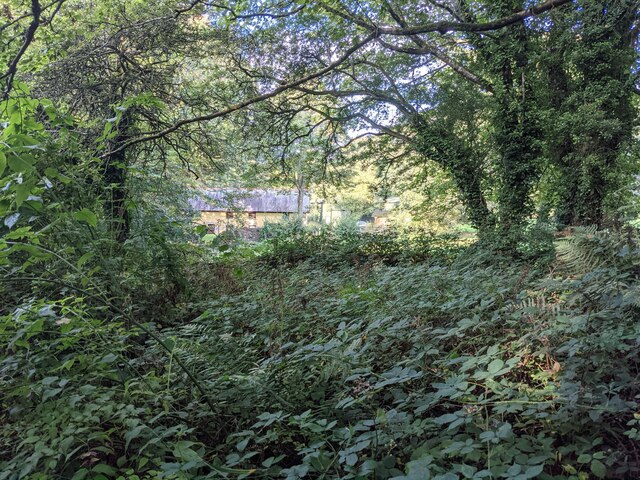 House and jungle near Calloose