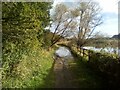 Flooded Path alongside Mardyke Woods