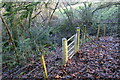 G?t gerddwyr ar lwybr /  Pedestrian gate on path