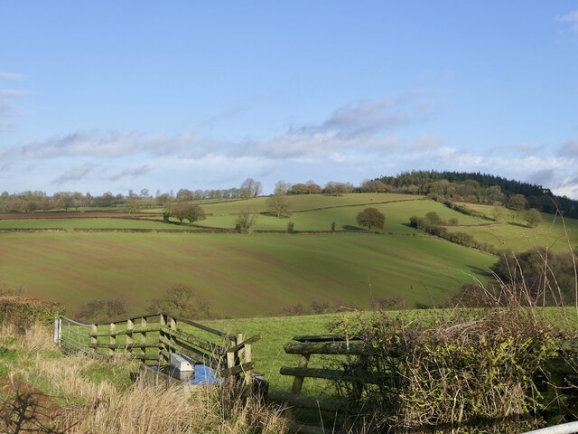 Pudleston Dingle, County of Herefordshire - area information, map ...